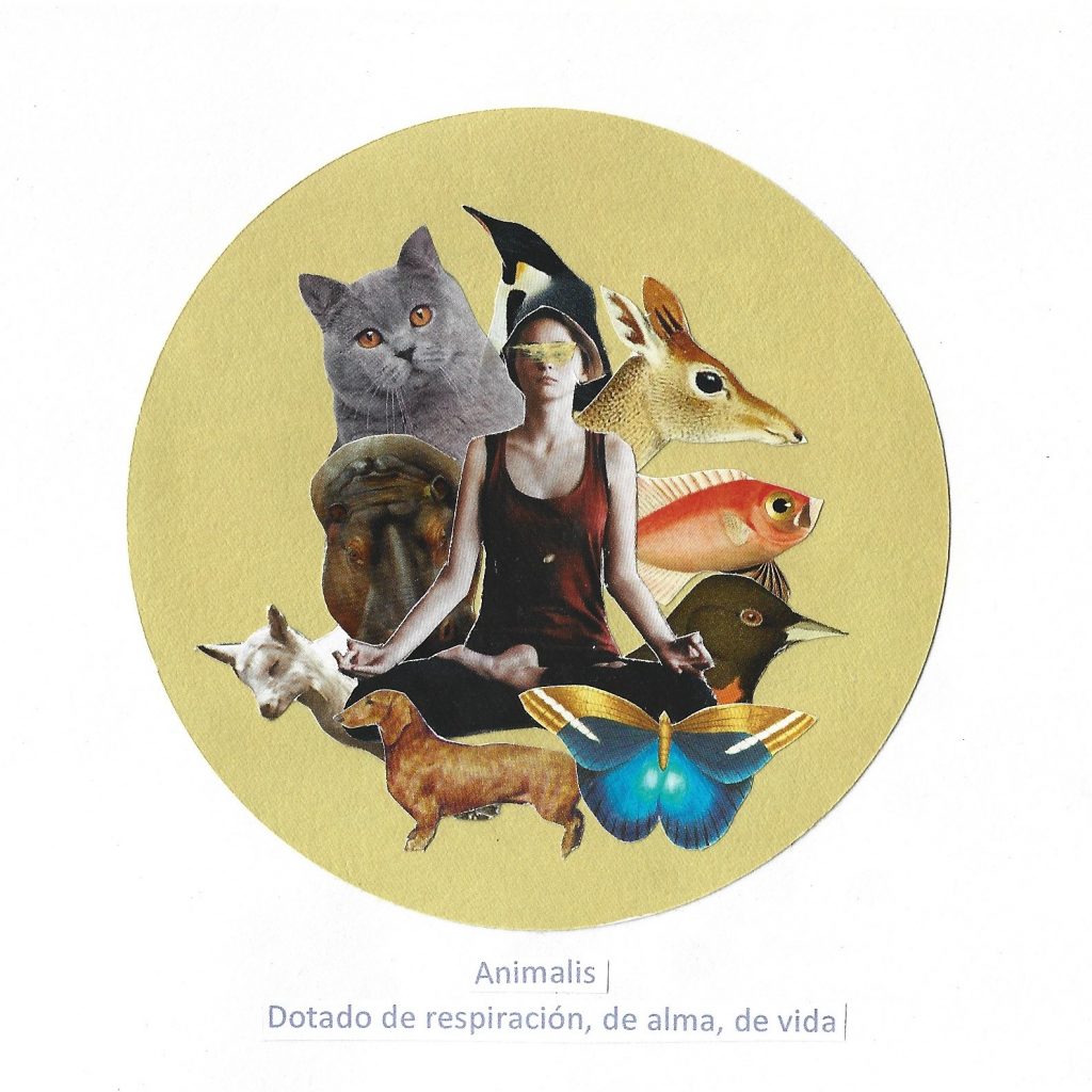 Collage manual sobre la palabra Animalis