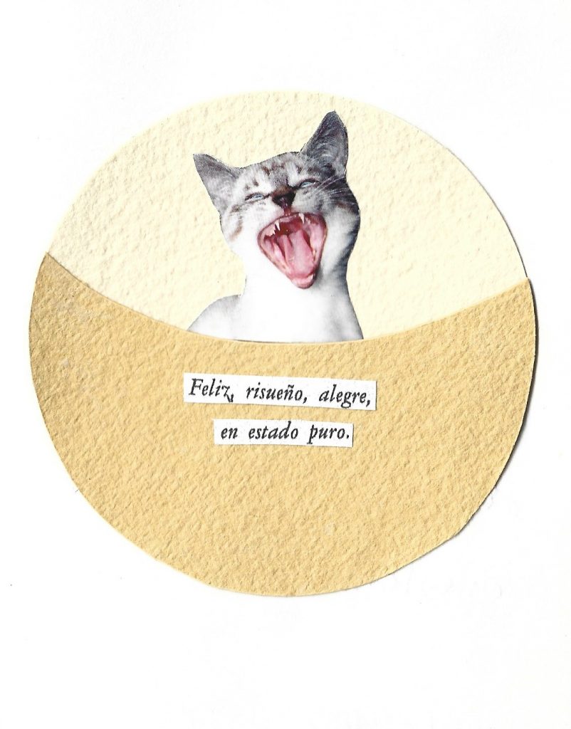Collage manual con gatos 6