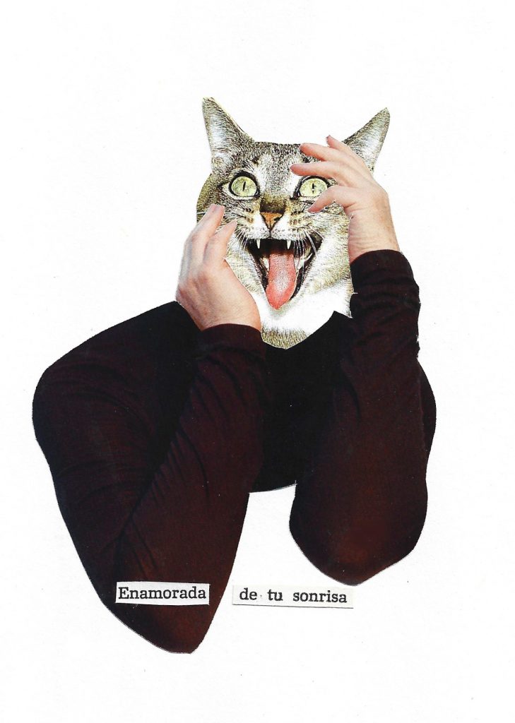 Collage manual con gatos 5