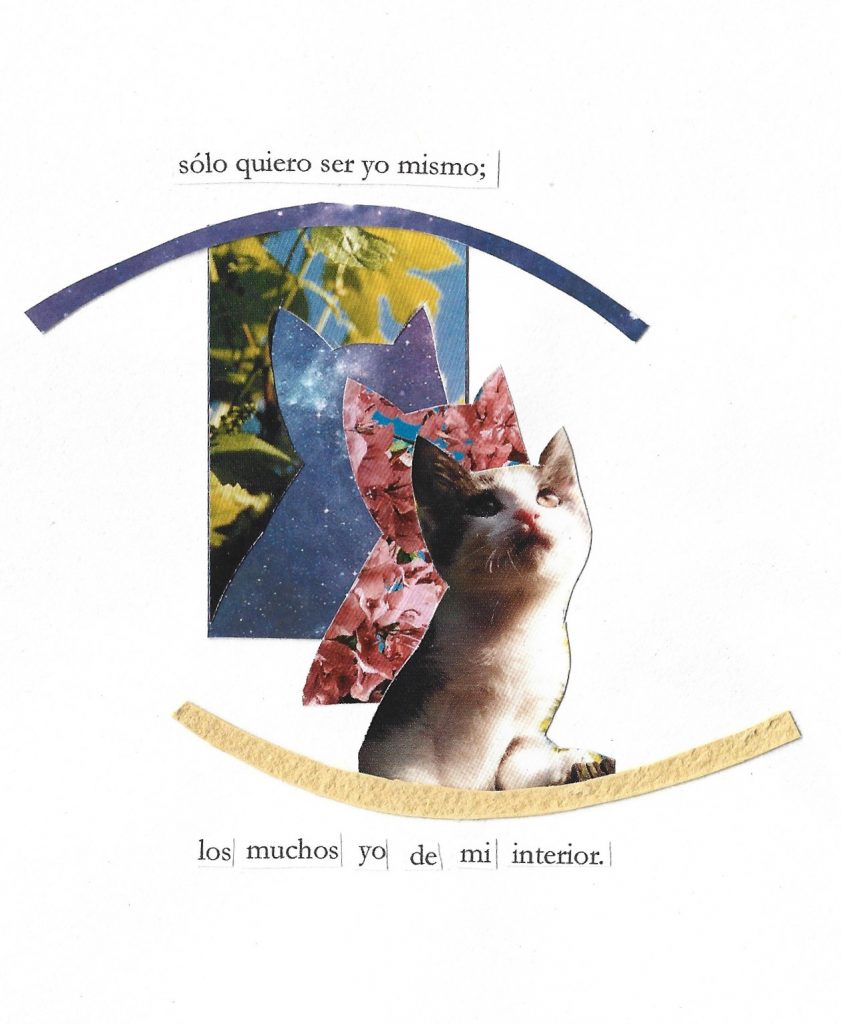 Collage manual con gatos 10